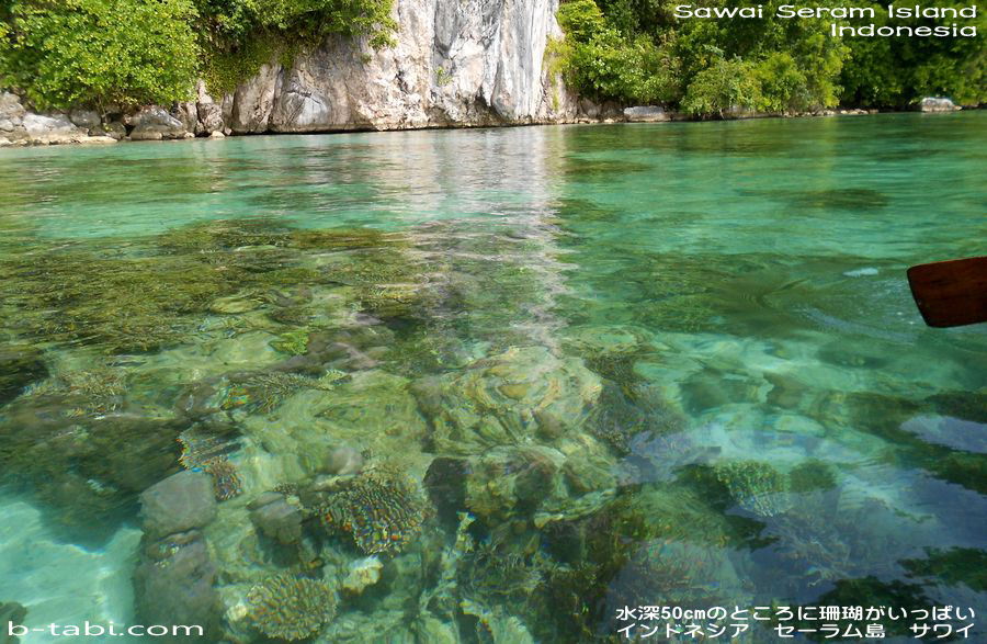 サワイ セラム島 インドネシア 1泊2,500円の水上コテージ