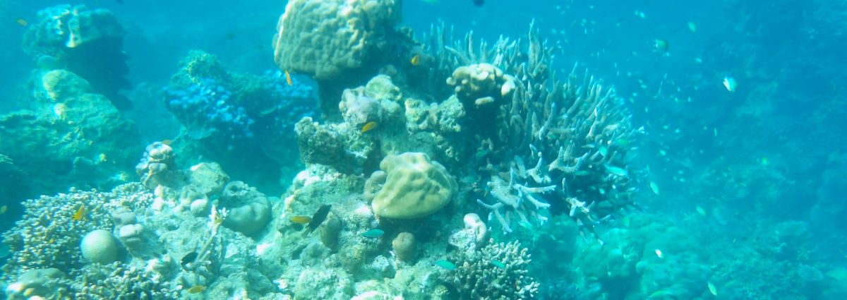 スリン島サンゴ礁